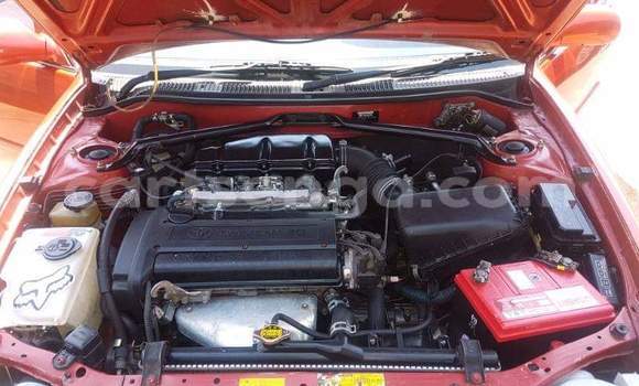 Buy Used Toyota Corolla Red Car in Hlatikulu in Shiselweni District Buy Used Toyota Corolla Red Car in Hlatikulu in Shiselweni District