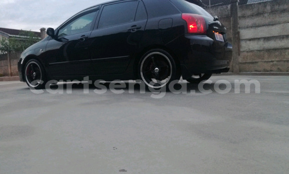 Buy Used Toyota Runx Black Car in Hlatikulu in Shiselweni District Buy Used Toyota Runx Black Car in Hlatikulu in Shiselweni District