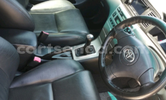 Buy Used Toyota Runx Black Car in Hlatikulu in Shiselweni District Buy Used Toyota Runx Black Car in Hlatikulu in Shiselweni District