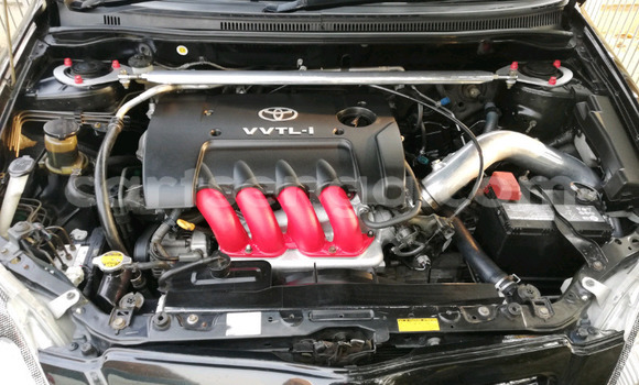 Buy Used Toyota Runx Black Car in Hlatikulu in Shiselweni District Buy Used Toyota Runx Black Car in Hlatikulu in Shiselweni District