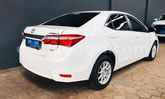 Nunua Ilio tumika Toyota Corolla White Gari ndani ya Ezulwini nchini Hhohho Nunua Ilio tumika Toyota Corolla White Gari ndani ya Ezulwini nchini Hhohho