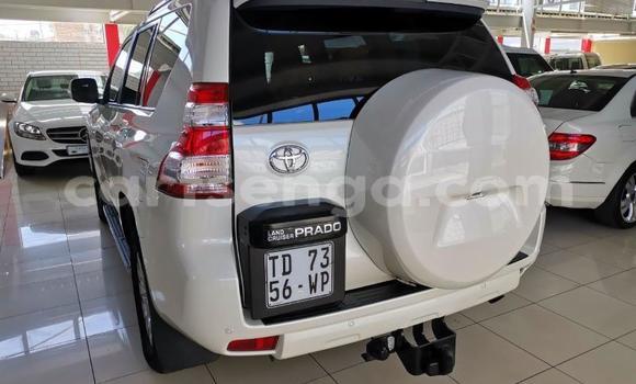 Buy Used Toyota Land Cruiser Prado White Car in Ezulwini in Hhohho Buy Used Toyota Land Cruiser Prado White Car in Ezulwini in Hhohho