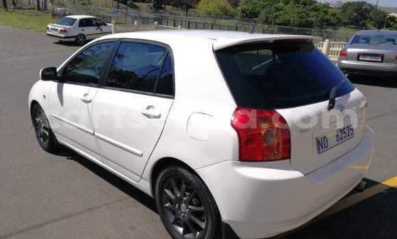Acheter Occasion Voiture Toyota Runx Blanc à Hluti, Shiselweni District Acheter Occasion Voiture Toyota Runx Blanc à Hluti, Shiselweni District