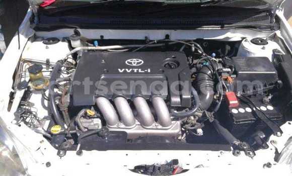 Acheter Occasion Voiture Toyota Runx Blanc à Hluti, Shiselweni District Acheter Occasion Voiture Toyota Runx Blanc à Hluti, Shiselweni District