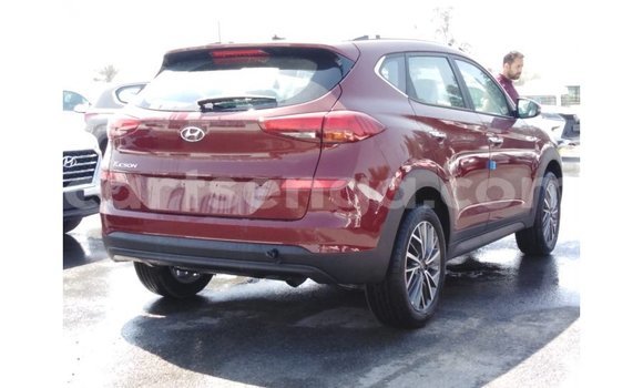 Buy Import Hyundai Tucson Red Car in Import - Dubai in Hhohho Buy Import Hyundai Tucson Red Car in Import - Dubai in Hhohho