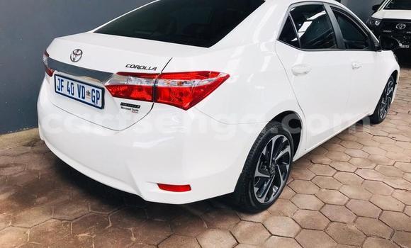 Buy Used Toyota Corolla Spacio White Car in Ezulwini in Hhohho Buy Used Toyota Corolla Spacio White Car in Ezulwini in Hhohho