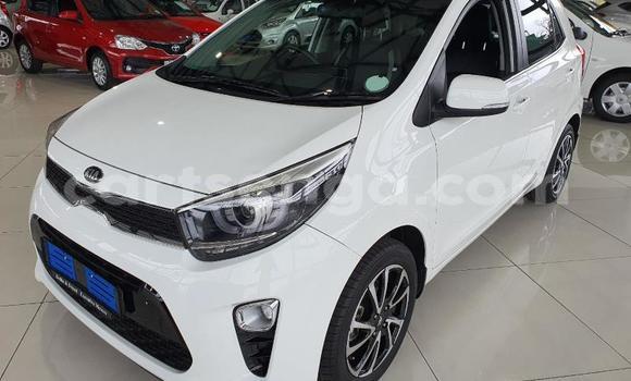 Nunua Ilio tumika Kia Picanto White Gari ndani ya Mbabane nchini Manzini Nunua Ilio tumika Kia Picanto White Gari ndani ya Mbabane nchini Manzini