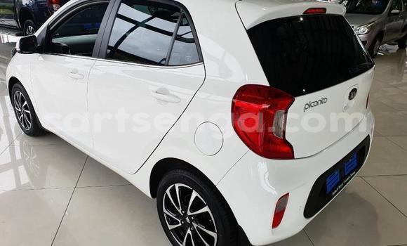 Nunua Ilio tumika Kia Picanto White Gari ndani ya Mbabane nchini Manzini Nunua Ilio tumika Kia Picanto White Gari ndani ya Mbabane nchini Manzini