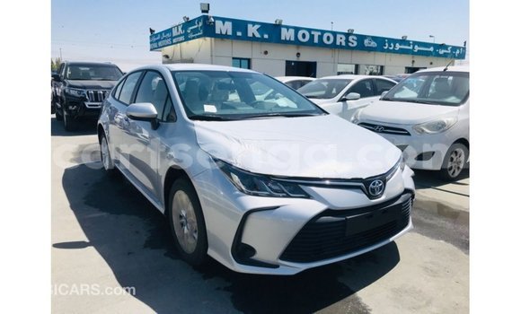 Buy Import Toyota Corolla White Car in Import - Dubai in Hhohho Buy Import Toyota Corolla White Car in Import - Dubai in Hhohho