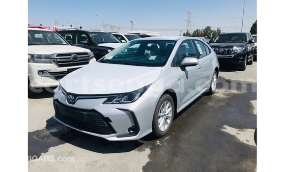 Buy Import Toyota Corolla White Car in Import - Dubai in Hhohho Buy Import Toyota Corolla White Car in Import - Dubai in Hhohho
