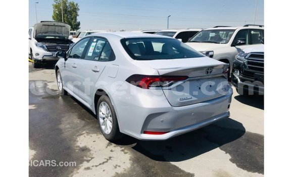 Buy Import Toyota Corolla White Car in Import - Dubai in Hhohho Buy Import Toyota Corolla White Car in Import - Dubai in Hhohho