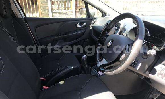 Buy Used Renault Clio Silver Car in Hlatikulu in Shiselweni District Buy Used Renault Clio Silver Car in Hlatikulu in Shiselweni District