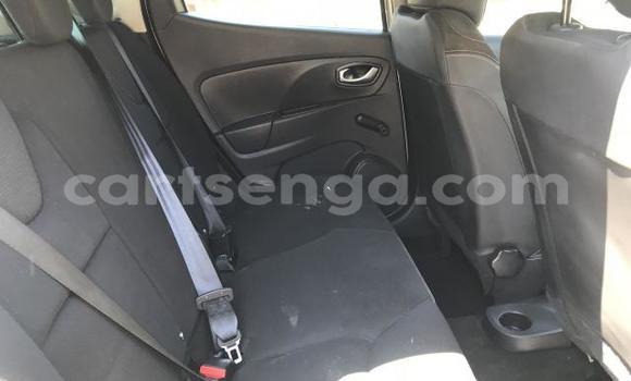 Buy Used Renault Clio Silver Car in Hlatikulu in Shiselweni District Buy Used Renault Clio Silver Car in Hlatikulu in Shiselweni District