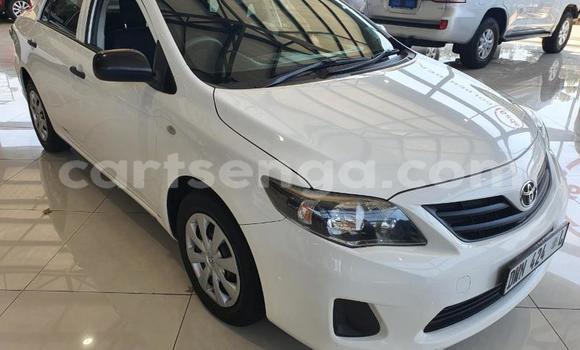 Nunua Ilio tumika Toyota Corolla White Gari ndani ya Ezulwini nchini Hhohho Nunua Ilio tumika Toyota Corolla White Gari ndani ya Ezulwini nchini Hhohho