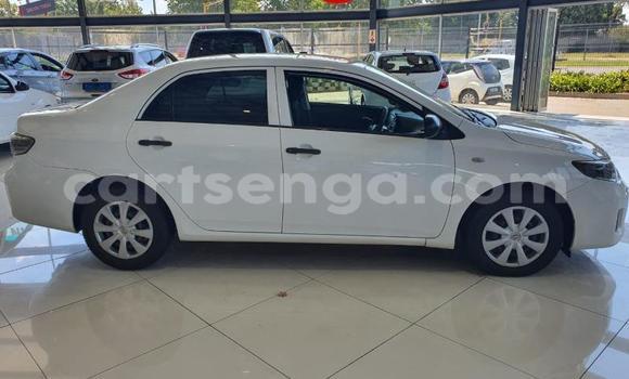 Nunua Ilio tumika Toyota Corolla White Gari ndani ya Ezulwini nchini Hhohho Nunua Ilio tumika Toyota Corolla White Gari ndani ya Ezulwini nchini Hhohho