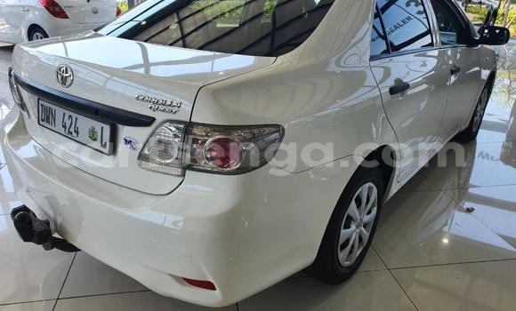 Nunua Ilio tumika Toyota Corolla White Gari ndani ya Ezulwini nchini Hhohho Nunua Ilio tumika Toyota Corolla White Gari ndani ya Ezulwini nchini Hhohho