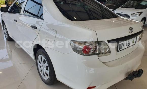 Nunua Ilio tumika Toyota Corolla White Gari ndani ya Ezulwini nchini Hhohho Nunua Ilio tumika Toyota Corolla White Gari ndani ya Ezulwini nchini Hhohho