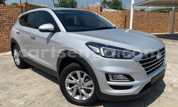 Acheter Occasion Voiture Hyundai Tuscani Autre à Ezulwini, Hhohho Acheter Occasion Voiture Hyundai Tuscani Autre à Ezulwini, Hhohho