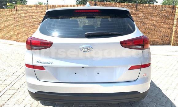 Acheter Occasion Voiture Hyundai Tuscani Autre à Ezulwini, Hhohho Acheter Occasion Voiture Hyundai Tuscani Autre à Ezulwini, Hhohho
