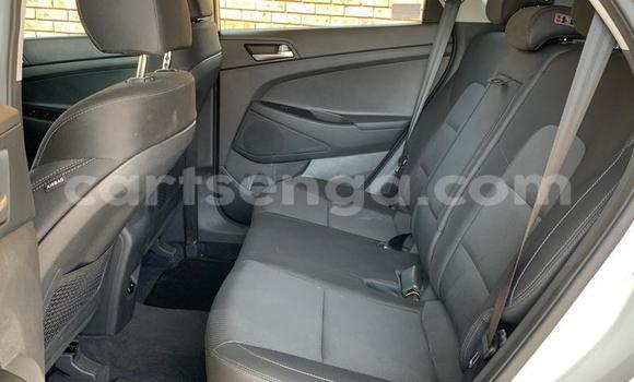 Acheter Occasion Voiture Hyundai Tuscani Autre à Ezulwini, Hhohho Acheter Occasion Voiture Hyundai Tuscani Autre à Ezulwini, Hhohho