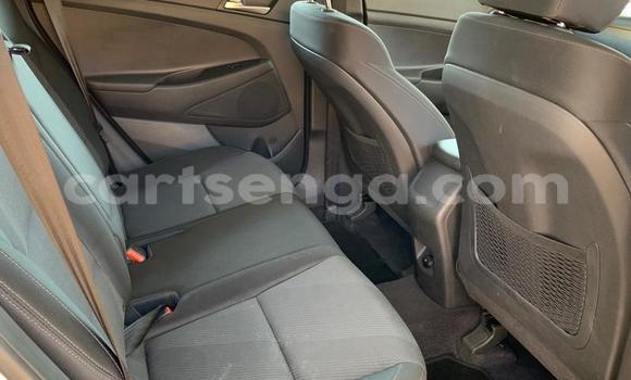Acheter Occasion Voiture Hyundai Tuscani Autre à Ezulwini, Hhohho Acheter Occasion Voiture Hyundai Tuscani Autre à Ezulwini, Hhohho