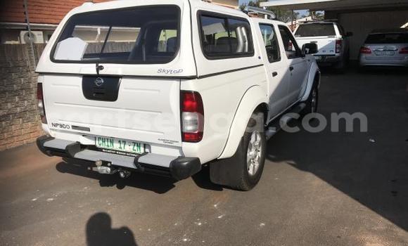 Acheter Occasion Voiture Nissan NP 300 Blanc à Hlatikulu, Shiselweni District Acheter Occasion Voiture Nissan NP 300 Blanc à Hlatikulu, Shiselweni District