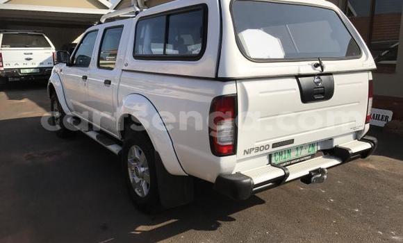 Acheter Occasion Voiture Nissan NP 300 Blanc à Hlatikulu, Shiselweni District Acheter Occasion Voiture Nissan NP 300 Blanc à Hlatikulu, Shiselweni District