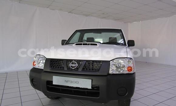 Acheter Occasion Voiture Nissan NP 300 Blanc à Mbabane, Manzini Acheter Occasion Voiture Nissan NP 300 Blanc à Mbabane, Manzini