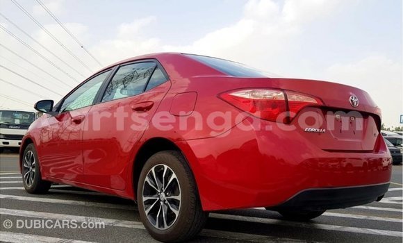 Buy Import Toyota Corolla Red Car in Import - Dubai in Hhohho Buy Import Toyota Corolla Red Car in Import - Dubai in Hhohho