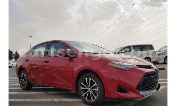 Buy Import Toyota Corolla Red Car in Import - Dubai in Hhohho Buy Import Toyota Corolla Red Car in Import - Dubai in Hhohho