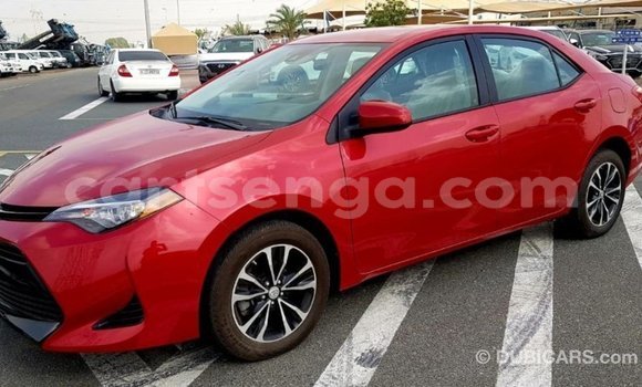 Buy Import Toyota Corolla Red Car in Import - Dubai in Hhohho Buy Import Toyota Corolla Red Car in Import - Dubai in Hhohho