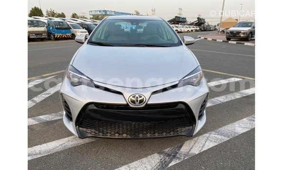 Buy Import Toyota Corolla Other Car in Import - Dubai in Hhohho Buy Import Toyota Corolla Other Car in Import - Dubai in Hhohho
