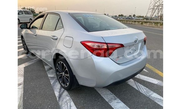 Buy Import Toyota Corolla Other Car in Import - Dubai in Hhohho Buy Import Toyota Corolla Other Car in Import - Dubai in Hhohho