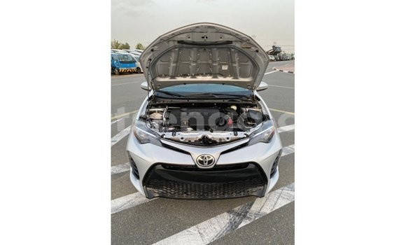 Buy Import Toyota Corolla Other Car in Import - Dubai in Hhohho Buy Import Toyota Corolla Other Car in Import - Dubai in Hhohho