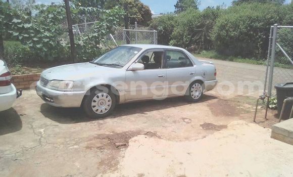 Buy Used Toyota Corolla Silver Car in Manzini in Manzini Buy Used Toyota Corolla Silver Car in Manzini in Manzini