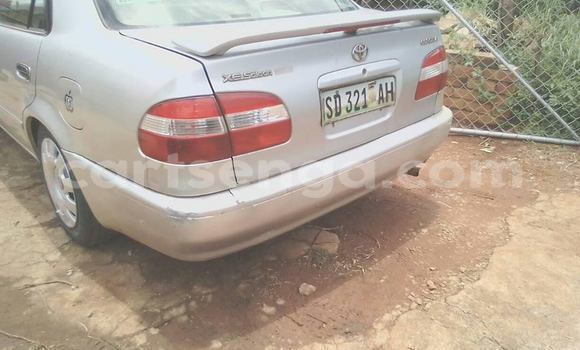 Buy Used Toyota Corolla Silver Car in Manzini in Manzini Buy Used Toyota Corolla Silver Car in Manzini in Manzini