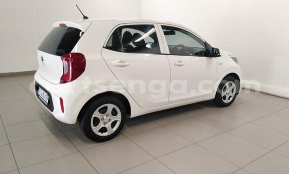 Acheter Occasion Voiture Kia Picanto Blanc à Mbabane, Manzini Acheter Occasion Voiture Kia Picanto Blanc à Mbabane, Manzini