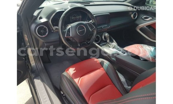 Buy Import Chevrolet Camaro Other Car in Import - Dubai in Hhohho Buy Import Chevrolet Camaro Other Car in Import - Dubai in Hhohho