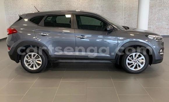 Acheter Occasion Voiture Hyundai Tucson Beige à Mbabane, Manzini Acheter Occasion Voiture Hyundai Tucson Beige à Mbabane, Manzini
