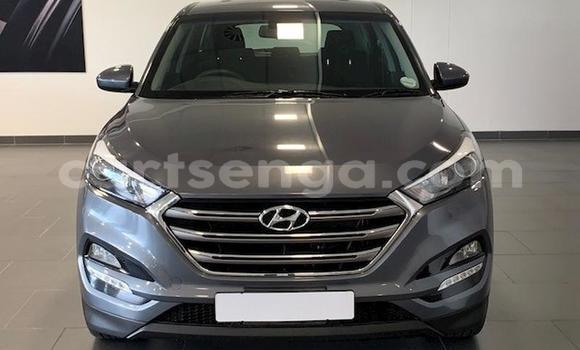 Acheter Occasion Voiture Hyundai Tucson Beige à Mbabane, Manzini Acheter Occasion Voiture Hyundai Tucson Beige à Mbabane, Manzini