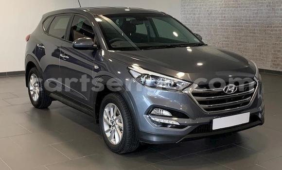 Acheter Occasion Voiture Hyundai Tucson Beige à Mbabane, Manzini Acheter Occasion Voiture Hyundai Tucson Beige à Mbabane, Manzini