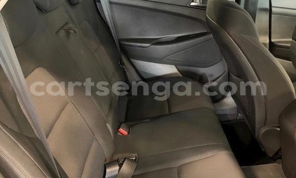 Acheter Occasion Voiture Hyundai Tucson Beige à Mbabane, Manzini Acheter Occasion Voiture Hyundai Tucson Beige à Mbabane, Manzini