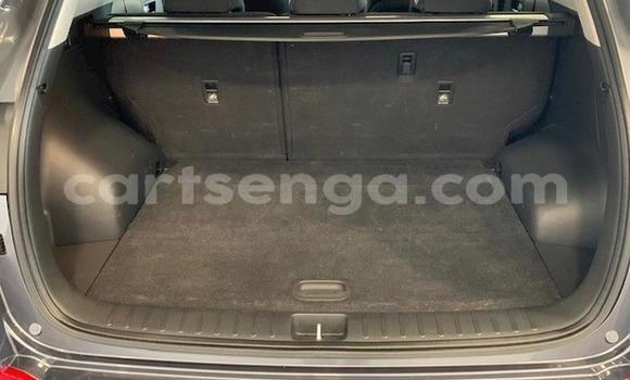 Acheter Occasion Voiture Hyundai Tucson Beige à Mbabane, Manzini Acheter Occasion Voiture Hyundai Tucson Beige à Mbabane, Manzini