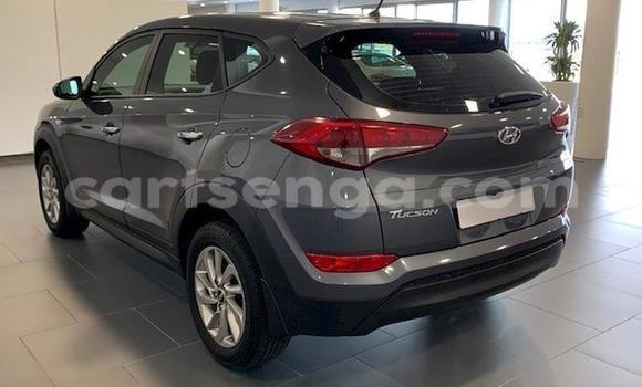 Acheter Occasion Voiture Hyundai Tucson Beige à Mbabane, Manzini Acheter Occasion Voiture Hyundai Tucson Beige à Mbabane, Manzini