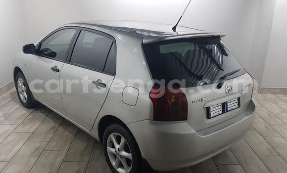 Buy Used Toyota Runx Silver Car in Bhunya in Manzini Buy Used Toyota Runx Silver Car in Bhunya in Manzini