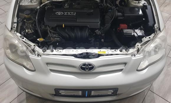 Buy Used Toyota Runx Silver Car in Bhunya in Manzini Buy Used Toyota Runx Silver Car in Bhunya in Manzini