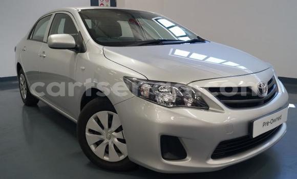 Acheter Occasion Voiture Toyota Corolla Gris à Mbabane, Manzini Acheter Occasion Voiture Toyota Corolla Gris à Mbabane, Manzini