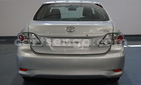 Acheter Occasion Voiture Toyota Corolla Gris à Mbabane, Manzini Acheter Occasion Voiture Toyota Corolla Gris à Mbabane, Manzini