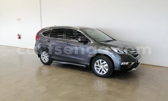 Acheter Occasion Voiture Honda CR–V Gris à Mbabane, Manzini Acheter Occasion Voiture Honda CR–V Gris à Mbabane, Manzini