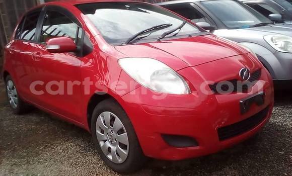 Acheter Occasion Voiture Toyota Vitz Rouge à Matsapha, Manzini Acheter Occasion Voiture Toyota Vitz Rouge à Matsapha, Manzini